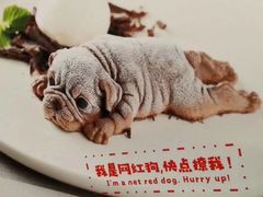 -赫帝拉航空主题餐厅(南宁店)