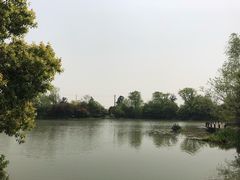 -桃花岛景观公园