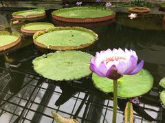 -国家植物园南园