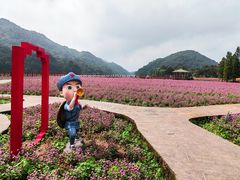 -广州市石门国家森林公园