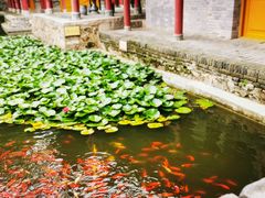 -华清宫景区