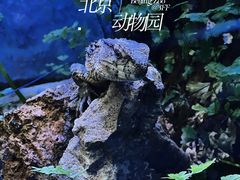 -北京动物园