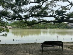 -江心屿景区