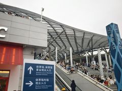 -华润深圳湾体育中心-“春茧” 体育馆
