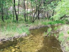 -碓臼峪自然风景区