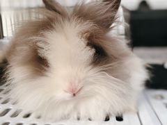 -小意思咖啡店(草桥店)