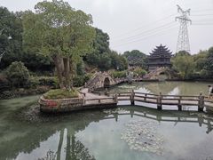 -韩湘水博园