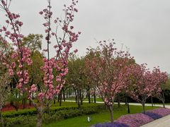 -上海山野camping·户外天幕烧烤·团建拓展营地