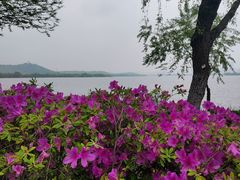-石湖景区