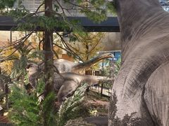 -湖南省地质博物馆