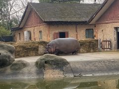 -南昌动物园