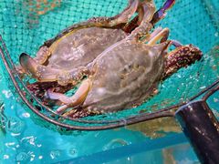 -拉完海鲜大排档(温岭店)