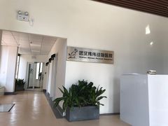 -伟伟宠物医院·瑞派猫友好医院·猫科(光谷店)