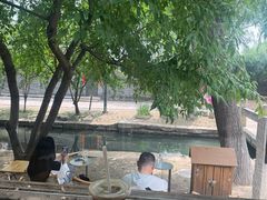 -春风习习