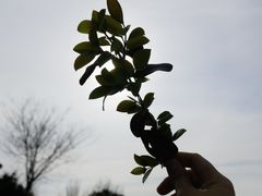 -杭州半山国家森林公园