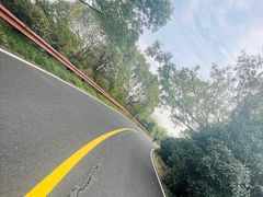 -宝界山林公园