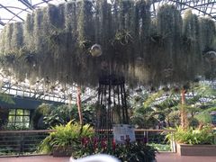 iphone_upload_pic-东部华侨城