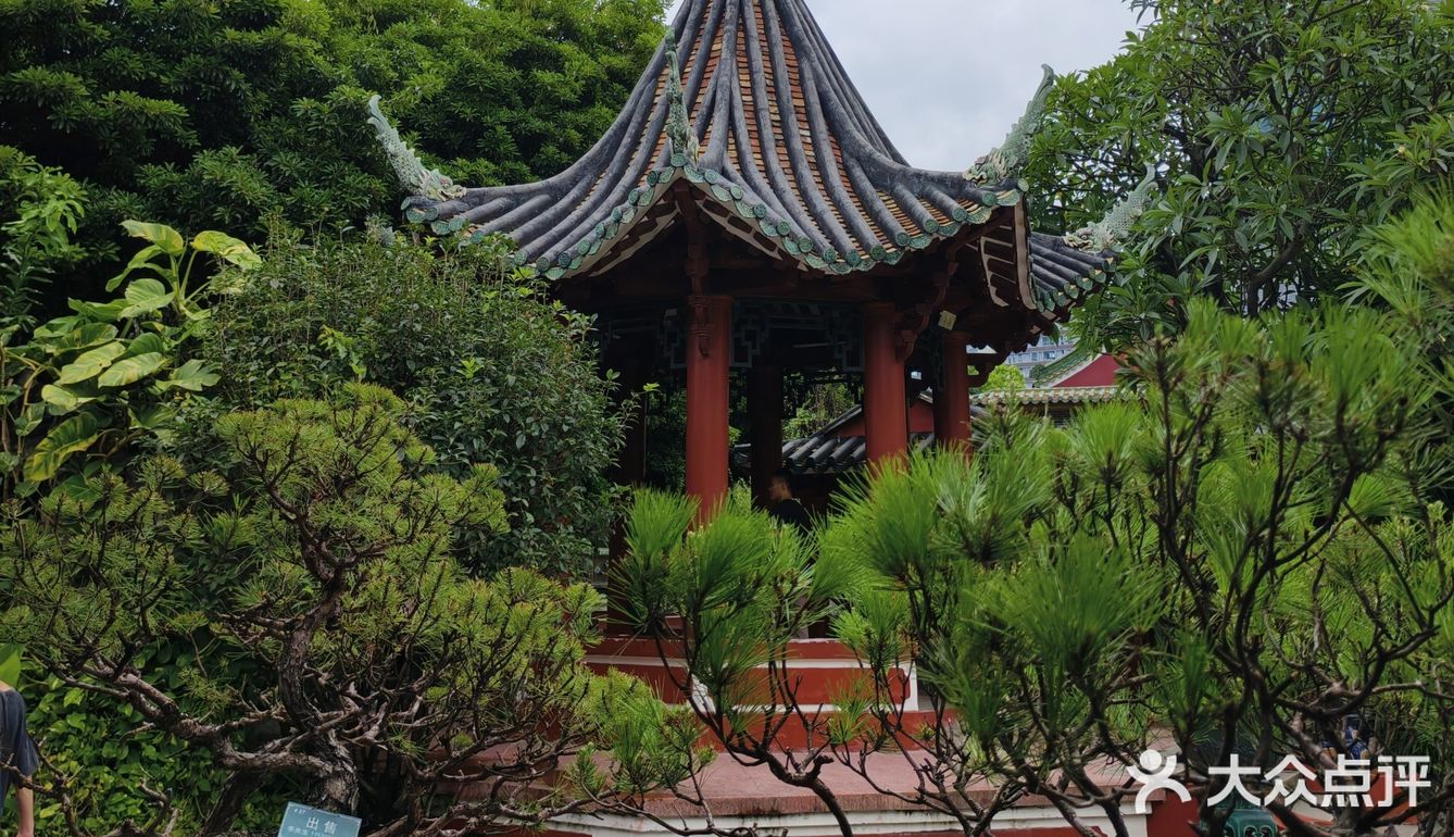 等一个姑姑的时间再次来到佛山！！！