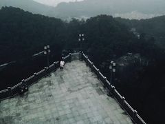 -南山植物园