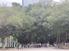 -莲花公园煎蟹(总店)