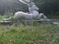 -吊水壶国家森林公园