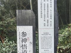-长沙黑麋峰国家森林公园