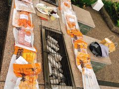 -吴淞炮台湾湿地森林公园烧烤区