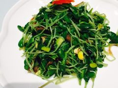 -张生记(丁香国际店)