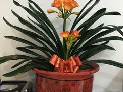 温馨的客服部一角-全心全意连锁动物医院(加州店)