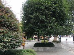 -武汉市第四中学