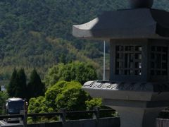-大唐贡茶院