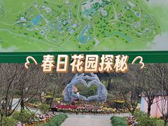 -南山植物园
