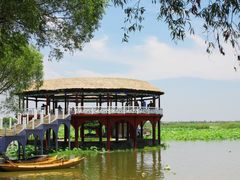 -洪湖生态旅游区