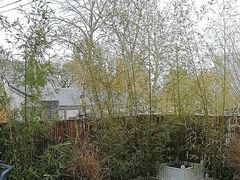 -羊门客在·烤盐池滩羊·川菜