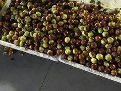 -三亚新鸿港水果一级批发市场