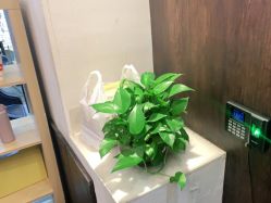 -MAGSTUDIO美格造型