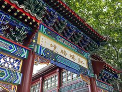 -荣国府