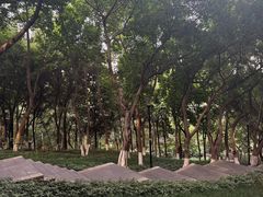 -龙头寺公园
