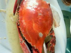 -阳光海鲜大排档