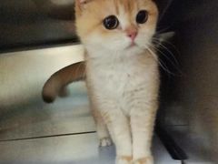 -仁华宠物医院(青羊店)