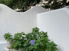 -几静cafe(基湖店)