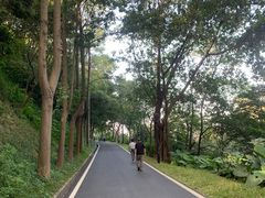 -广州雕塑公园
