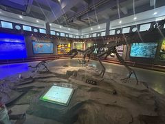 -自贡恐龙博物馆