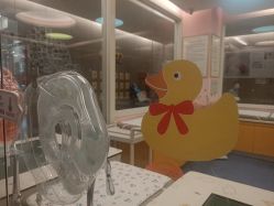 点击看大图 -金芙美月子中心(财富别墅店)