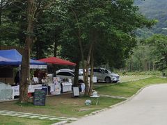 -黄埔油麻山森林公园