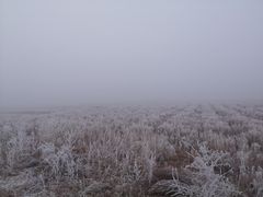 -东方华地城湿地温泉度假区