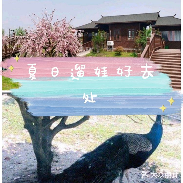 夏日遛娃~南京翠洲芳谷亲子游乐园