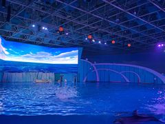-海合安青岛极地海洋公园