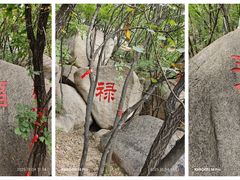 -六里坪国家森林公园
