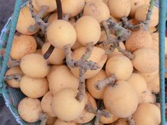 -塘栖枇杷特色园区